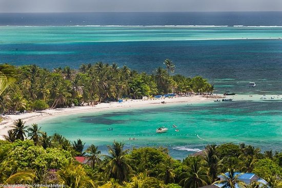 Coco Plum Adası'na Gitmek için hangi Şartlar Gereklidir