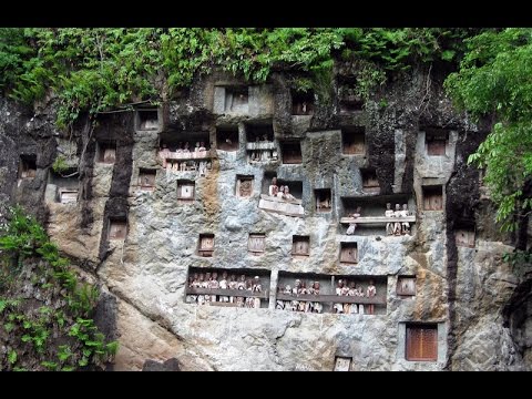 Torajada ağaç oymacılığı oldukça ileri ve ölen kişinin birebir ağaç heykelleri yapılıp, gömüldüğü mağaralardaki teraslarda sergileniyor