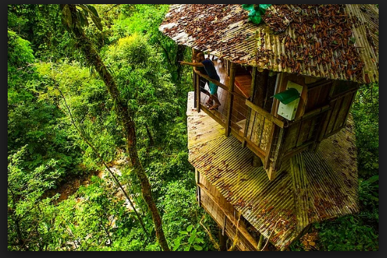 Ağaç Ev Cenneti-Kosta Rika