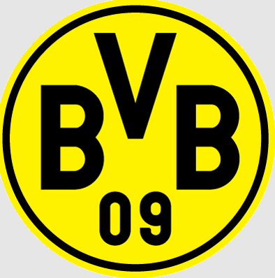 Borussia Dortmund Nerenin Takımı - BVB Ne Demek