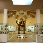 Gaziantep Zooloji ve Doğa Müzesi 23 Nisanda kapılarını açttı