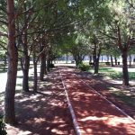 Kadıköy Özgürlük Parkı yolu