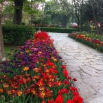 Kadıköy Özgürlük Parkı çiçekler