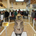 Türkiye’nin İlk Zooloji ve Doğa Müzesi Gaziantep’te Açıldı.