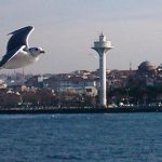 Üsküdar İskelesi İstanbul