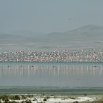 Akşehir Gölü