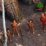 5. The Brazilian Tribes