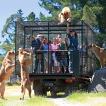 Hayvanların serbest, insanların kafeste olduğu hayvanat bahçesi2