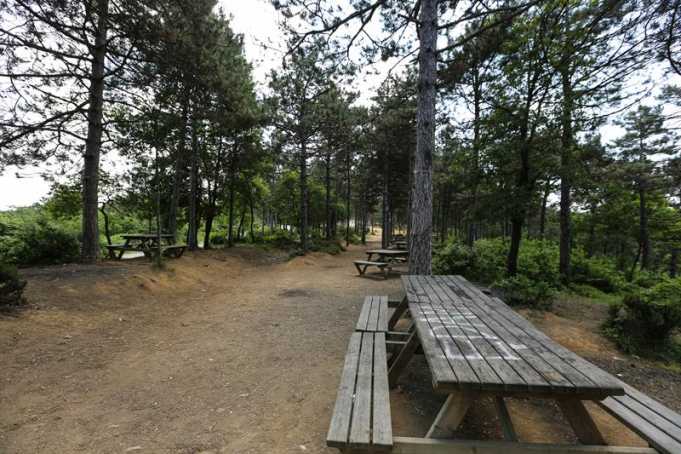 Kayaşehir Piknik Alanı Nerede, Nasıl Gidilir ve Giriş Ücreti