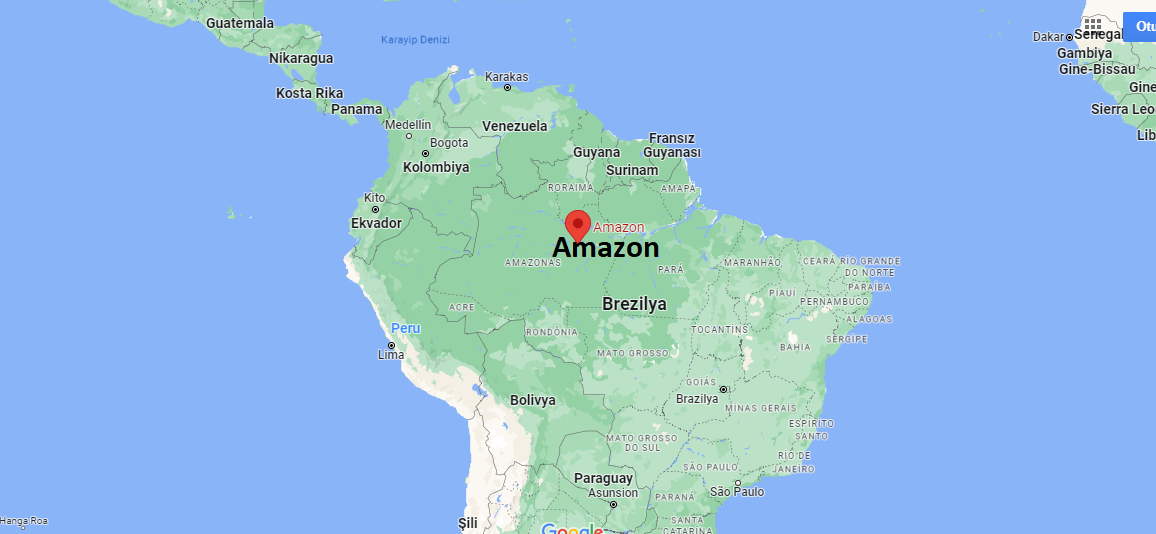 Amazon Nehri Nerede, Uzunluğu, Hangi Ülkede