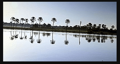 Afrika'nın En Uzun Nehirleri