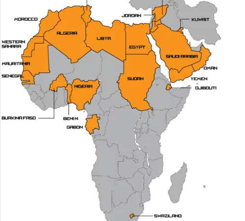 Afrika'da kaç Arap ülkesi var?